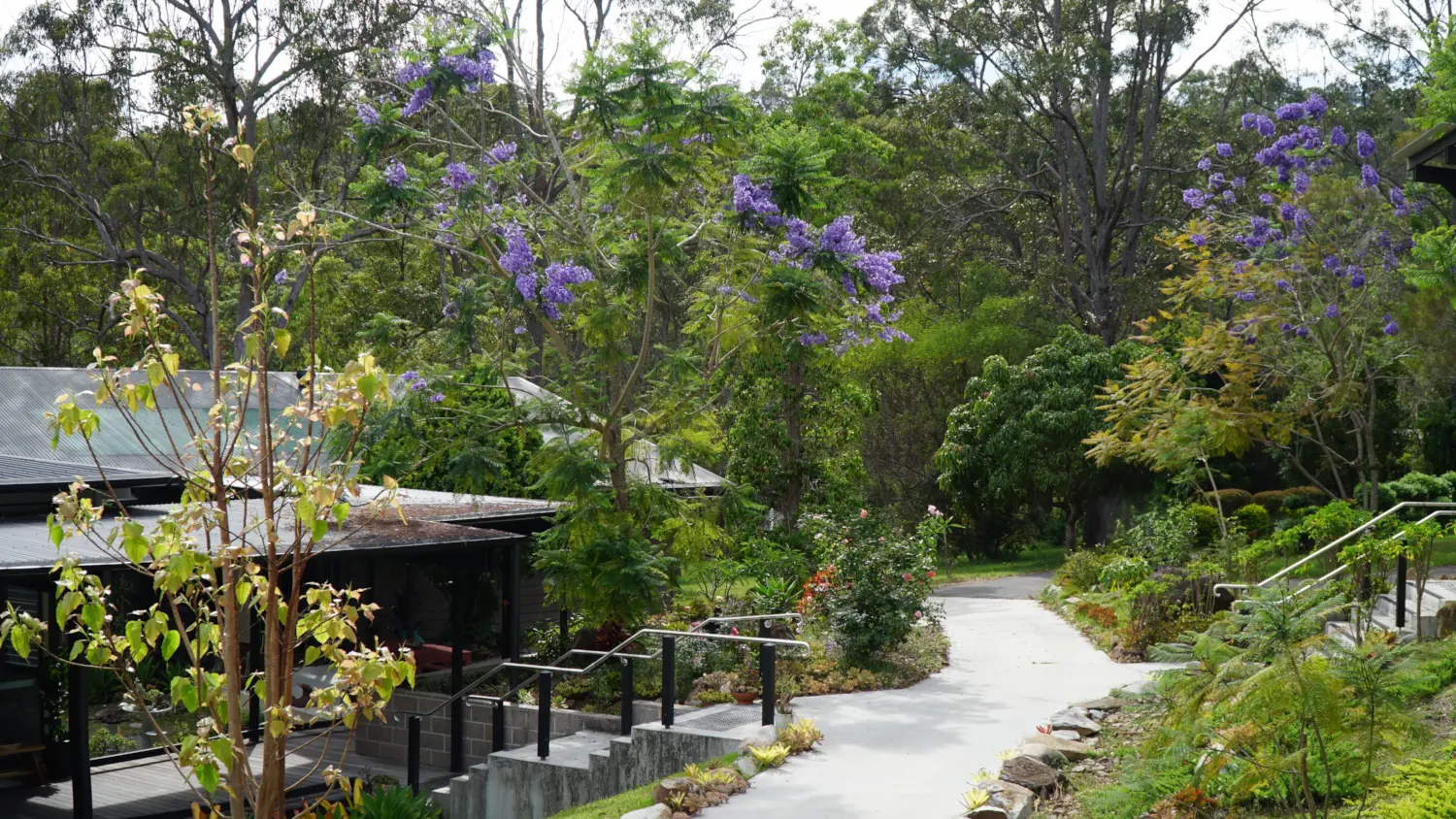 Garden path and grounds of Gold Coast Dharma Realm